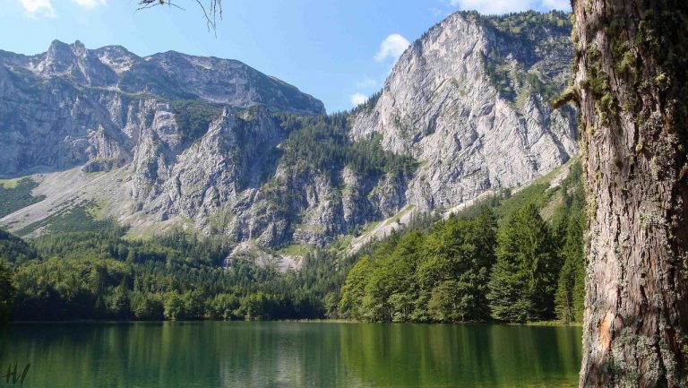 Wanderung auf den Großen Höllkogel mit Einkehr in der Rieder Hütte